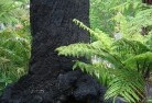 Kalgoorlie  WAsustainable-landscaping-15.jpg; ?>