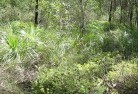 Kalgoorlie  WAsustainable-landscaping-21.jpg; ?>
